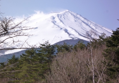 河北旅行社推荐日本赏樱花旅游 日本著名赏樱花打卡地方