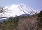 石家庄到日本旅游 石家庄直飞东京 经典八日游