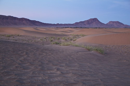 北非撒哈拉干沙漠
