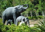 石家庄直飞西双版纳双飞五日游 真纯玩无套路