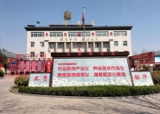 石家庄旅行社推荐 塔元庄、同福乐园智慧农场、隆兴寺、荣国府、正定夜景一日游