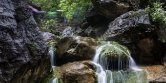 石家庄旅行社推荐河南旅游 河南旅游美食推荐